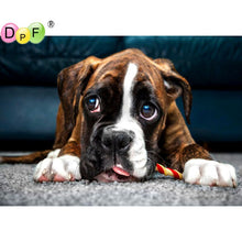 Load image into Gallery viewer, Cute Doggi - DIY 5D Full Diamond Painting
