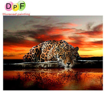 Load image into Gallery viewer, Leopard Evening - DIY 5D Full Diamond Painting
